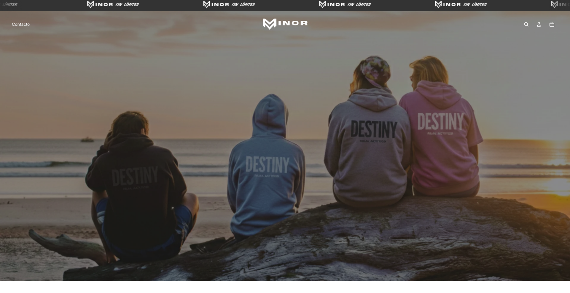 Proyecto Minor